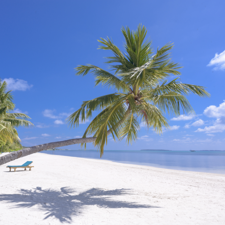 Wonderful Bohol - Why Visit this Philippines Island?