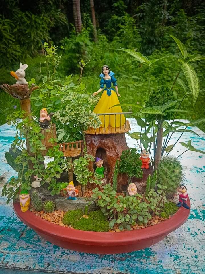 C&amp;M Miniature Garden