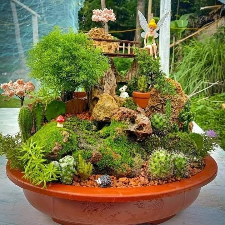 C&amp;M Miniature Garden