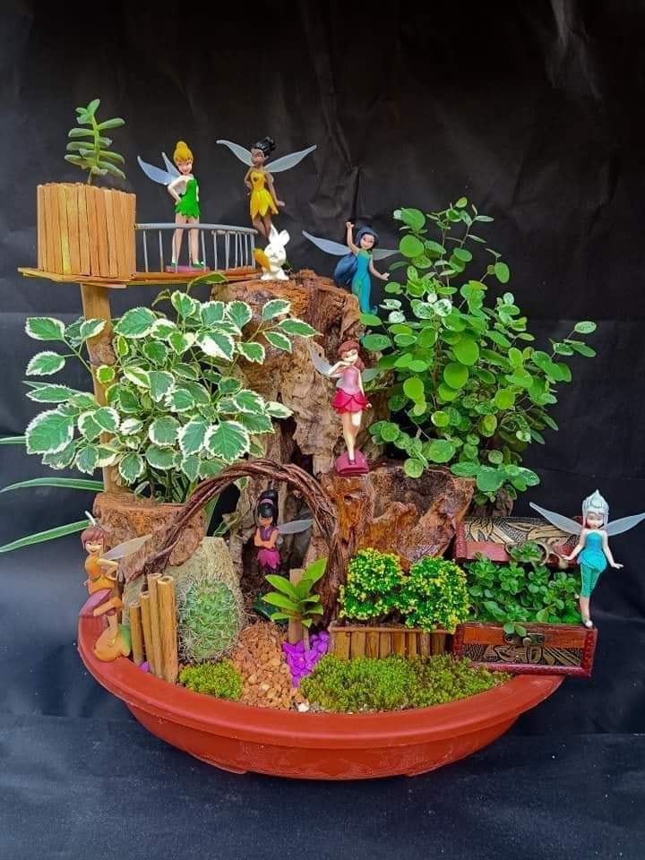 C&amp;M Miniature Garden